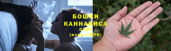 молекула духа Лихославль