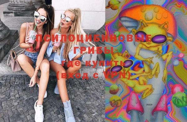 бошки Лабытнанги