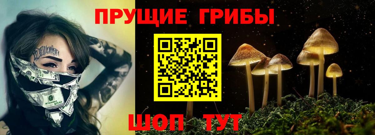 Абакан  Галлюциногенные грибы Psilocybe  Вход с VPN 