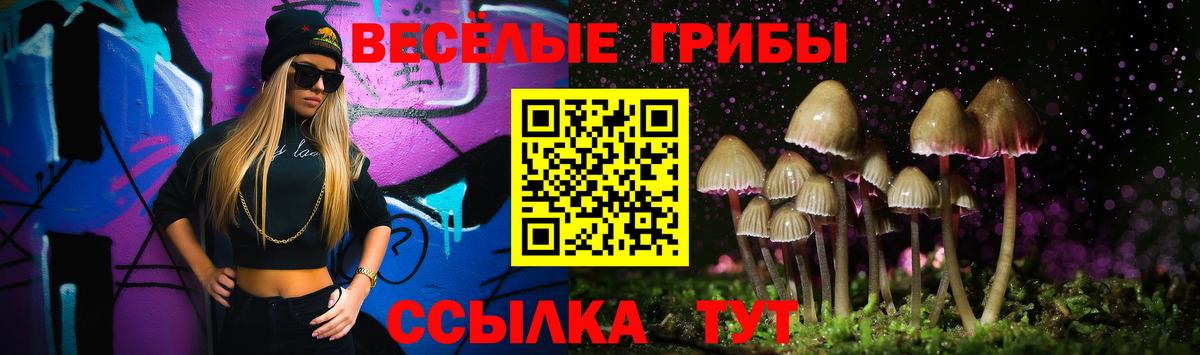 Псилоцибиновые грибы MAGIC MUSHROOMS Абакан