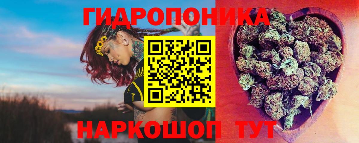 Шишки марихуана сатива Абакан